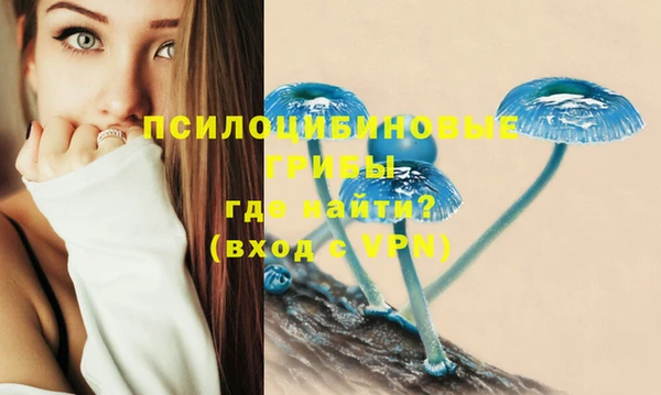мескалин Кинешма